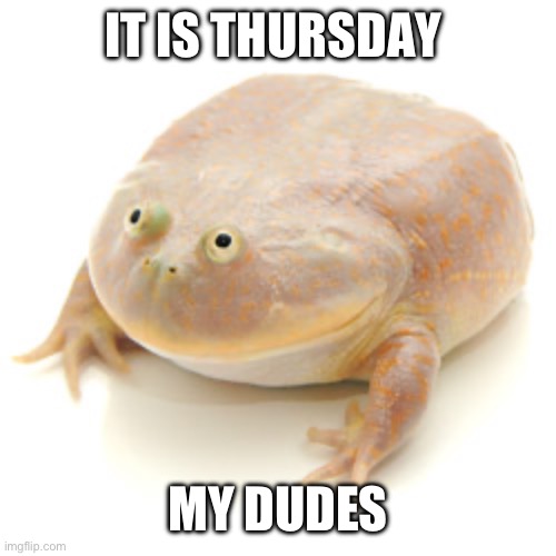 Yes | IT IS THURSDAY; MY DUDES | image tagged in it is wednesday my dudes | made w/ Imgflip meme maker