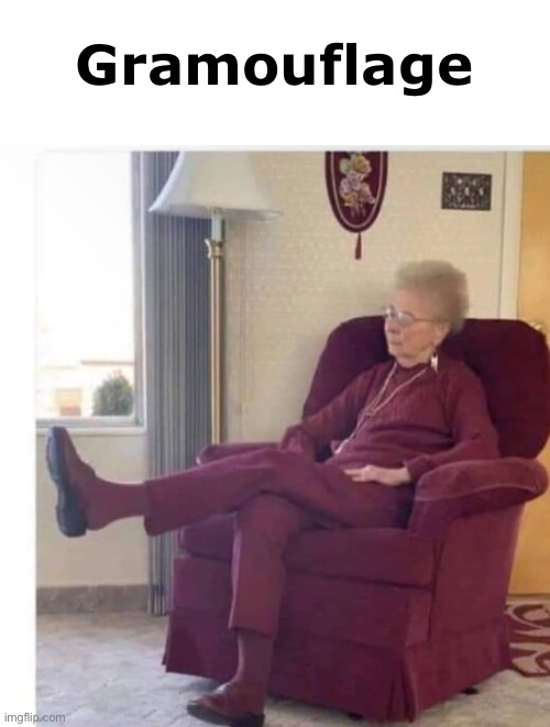 Camouflage + Granny | Gramouflage | image tagged in memes,grandma | made w/ Imgflip meme maker