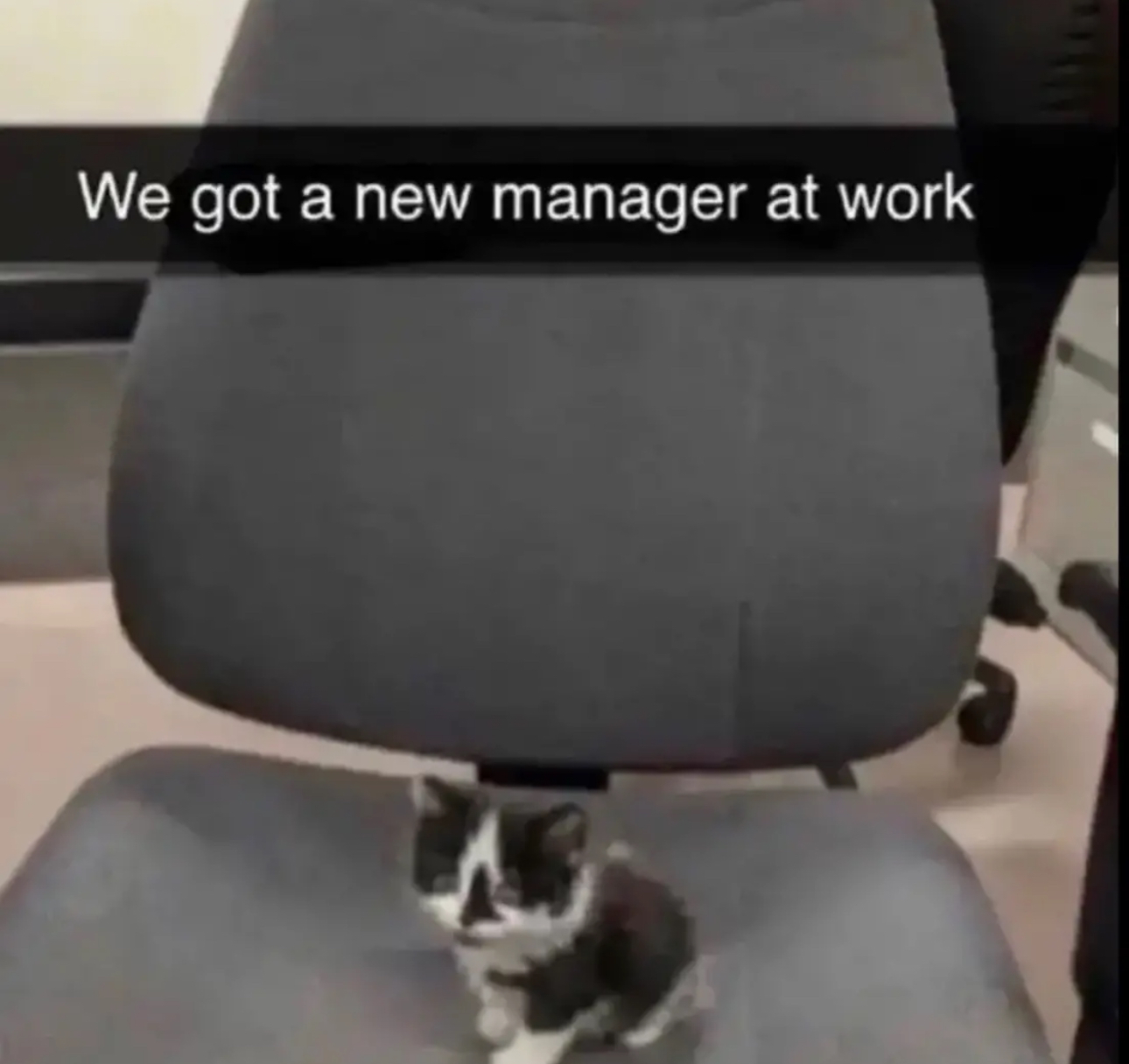 We got a new manager at work Blank Meme Template