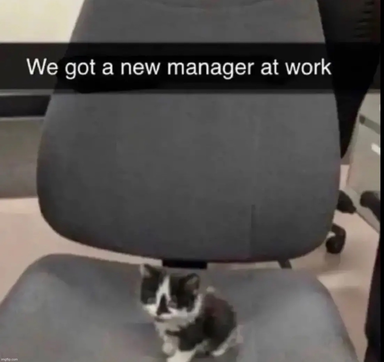 We got a new manager at work | image tagged in we got a new manager at work | made w/ Imgflip meme maker