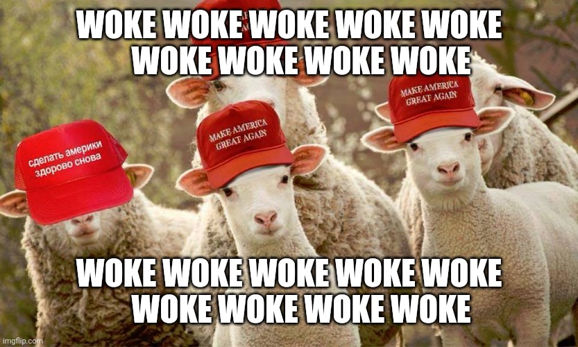 Trump MAGA hats sheep Russian | WOKE WOKE WOKE WOKE WOKE
     WOKE WOKE WOKE WOKE; WOKE WOKE WOKE WOKE WOKE
     WOKE WOKE WOKE WOKE | image tagged in trump maga hats sheep russian | made w/ Imgflip meme maker
