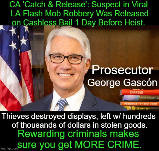 Gascón called cash bail 'unjust' and 'unsafe'. | CA 'Catch & Release': Suspect in Viral 
LA Flash Mob Robbery Was Released
on Cashless Bail 1 Day Before Heist. Prosecutor; George Gascón; Thieves destroyed displays, left w/ hundreds 
of thousands of dollars in stolen goods. Rewarding criminals makes 
sure you get MORE CRIME. | image tagged in politics,democrats,soft on crime,criminals,thieves,stupidity | made w/ Imgflip meme maker
