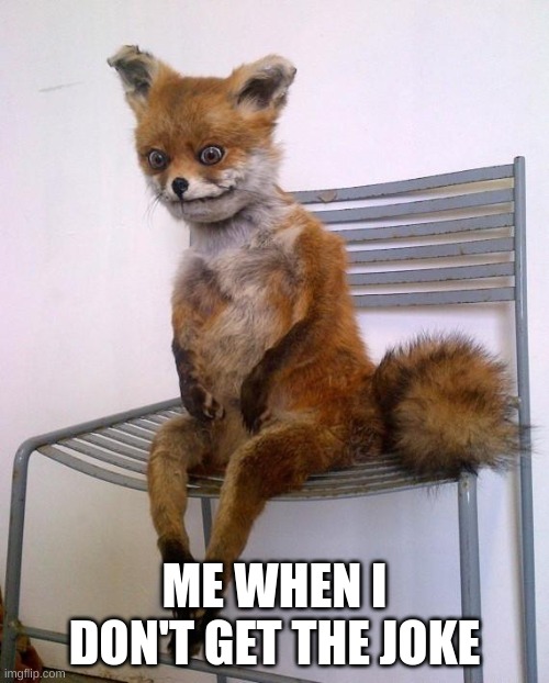 AAAAA | ME WHEN I DON'T GET THE JOKE | image tagged in stoned fox | made w/ Imgflip meme maker