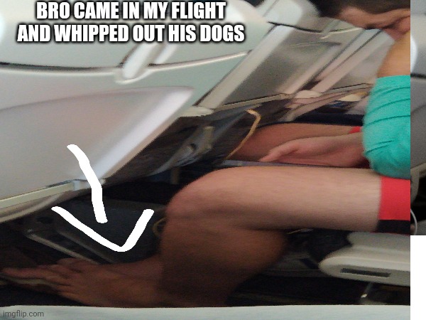 Feet | BRO CAME IN MY FLIGHT AND WHIPPED OUT HIS DOGS | image tagged in feet | made w/ Imgflip meme maker