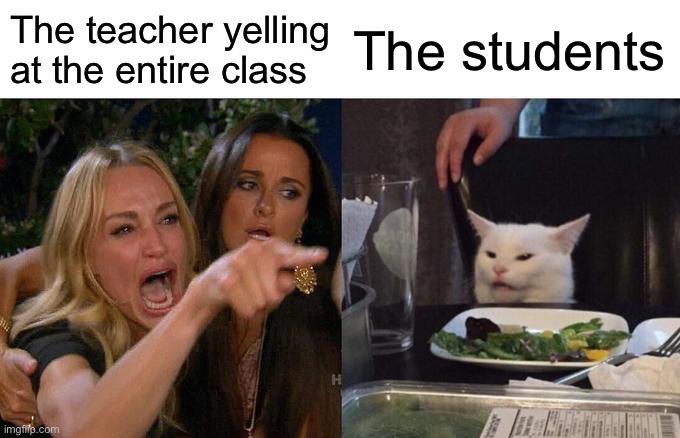 This is so true | The teacher yelling at the entire class; The students | image tagged in memes,woman yelling at cat | made w/ Imgflip meme maker