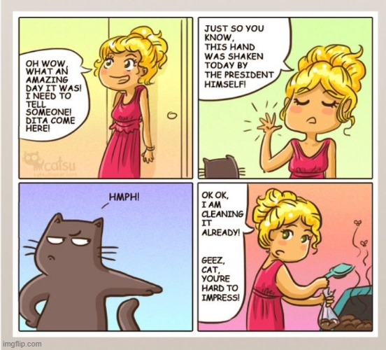 That's one strict cat... @_@ | made w/ Imgflip meme maker