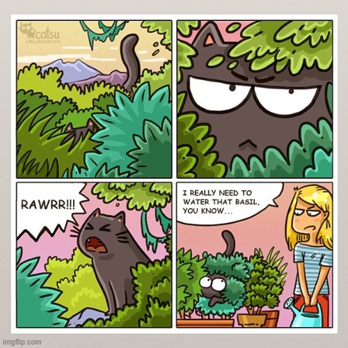 I thought that was a jungle at first lol | made w/ Imgflip meme maker