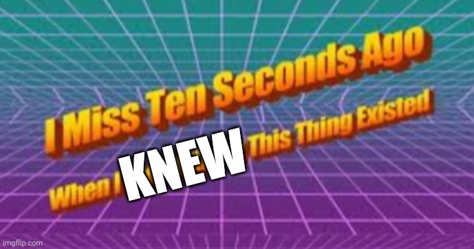 I miss ten seconds ago | KNEW | image tagged in i miss ten seconds ago | made w/ Imgflip meme maker