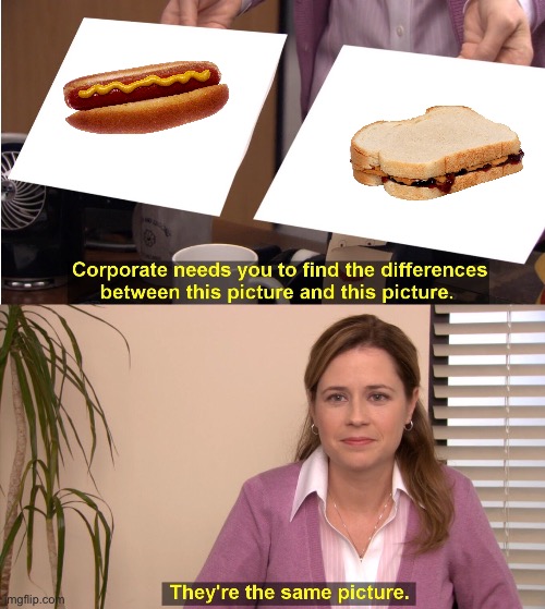 Hotdogs are in fact a type of sandwich | image tagged in memes,they're the same picture,fresh memes,funny,fun | made w/ Imgflip meme maker