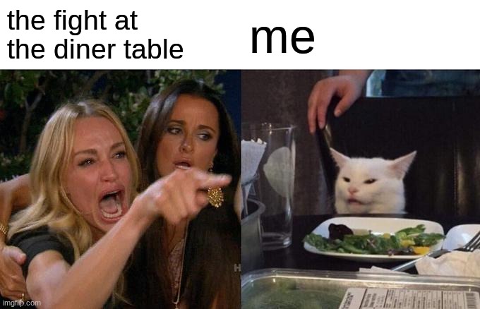 Woman Yelling At Cat | the fight at the diner table; me | image tagged in memes,woman yelling at cat | made w/ Imgflip meme maker