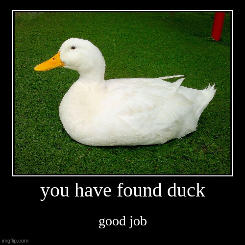 duck | you have found duck | good job | image tagged in funny,demotivationals | made w/ Imgflip demotivational maker