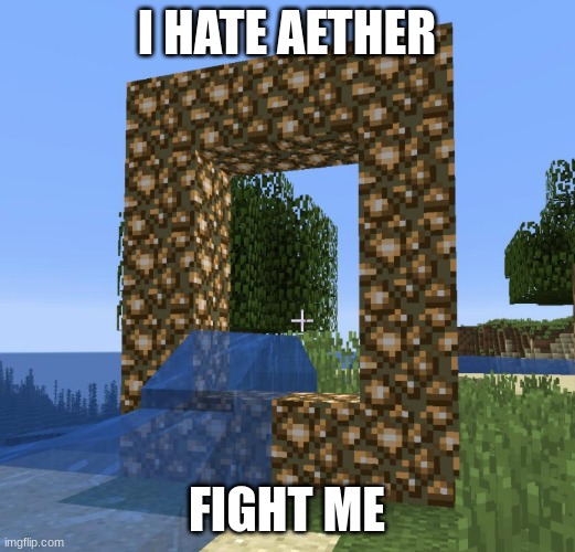 I absolutly despise aether | I HATE AETHER; FIGHT ME | image tagged in failed aether portal | made w/ Imgflip meme maker