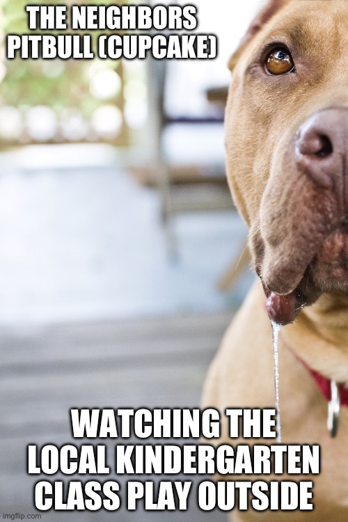 He just wants to play | THE NEIGHBORS PITBULL (CUPCAKE); WATCHING THE LOCAL KINDERGARTEN CLASS PLAY OUTSIDE | image tagged in pit bull drool | made w/ Imgflip meme maker