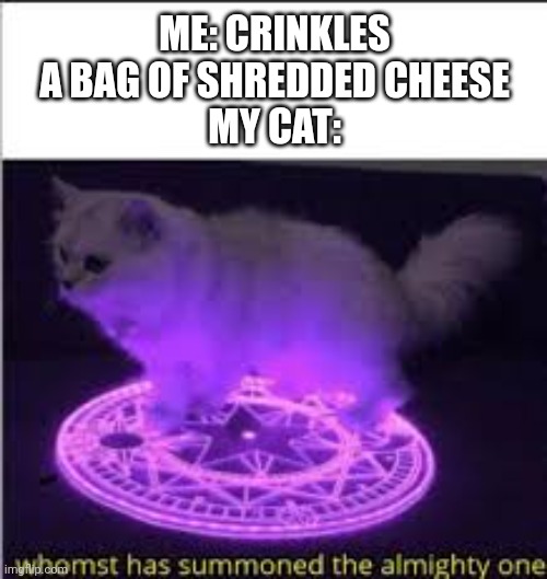It's become an addiction at this point | ME: CRINKLES A BAG OF SHREDDED CHEESE
MY CAT: | image tagged in whomst has summoned the almighty one,cats | made w/ Imgflip meme maker