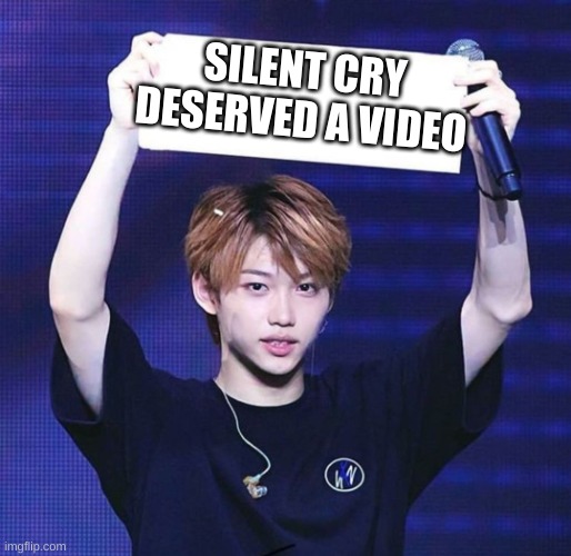 Who's with me?! | SILENT CRY DESERVED A VIDEO | image tagged in felix kpop | made w/ Imgflip meme maker