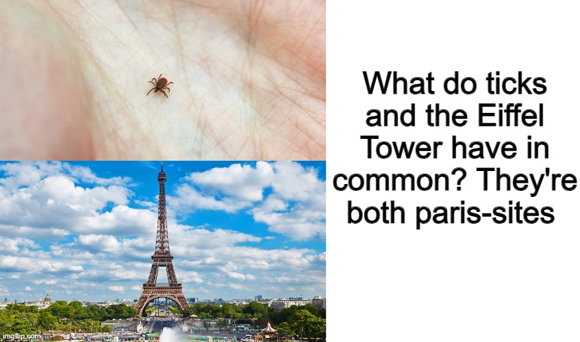 I'm not wrong lol | What do ticks and the Eiffel Tower have in common? They're both paris-sites | image tagged in blank white template | made w/ Imgflip meme maker
