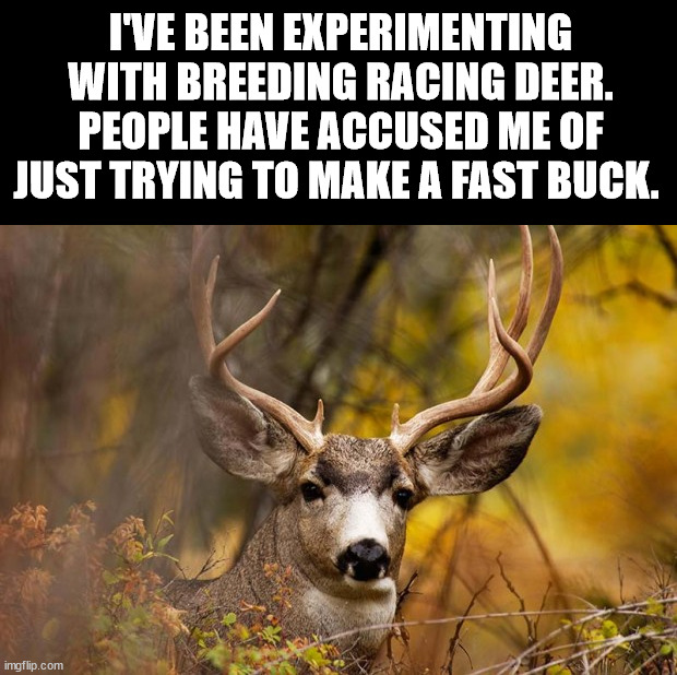 deer meme | I'VE BEEN EXPERIMENTING WITH BREEDING RACING DEER.
PEOPLE HAVE ACCUSED ME OF JUST TRYING TO MAKE A FAST BUCK. | image tagged in deer meme | made w/ Imgflip meme maker