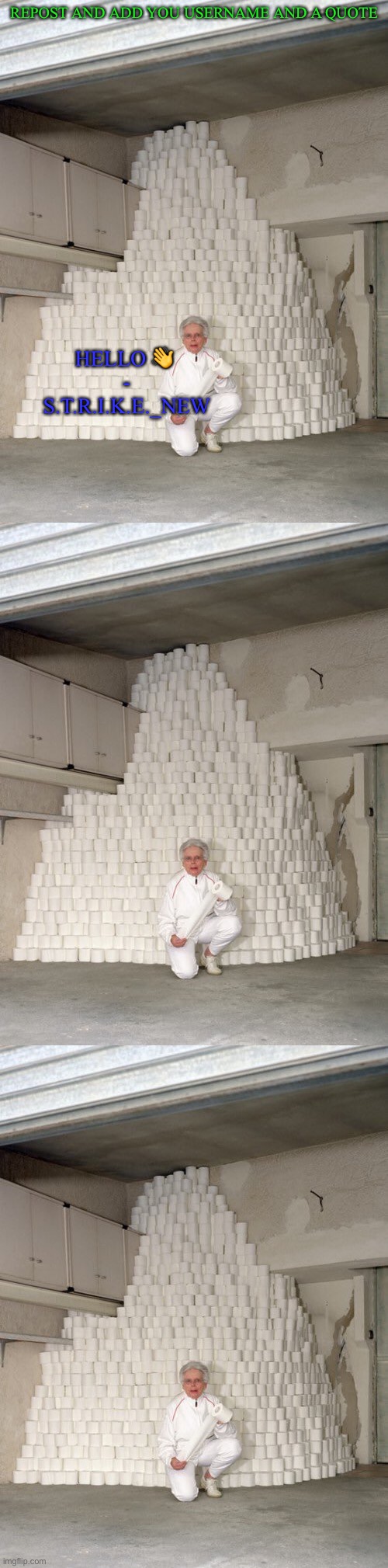 Image tagged in mountain of toilet paper Imgflip