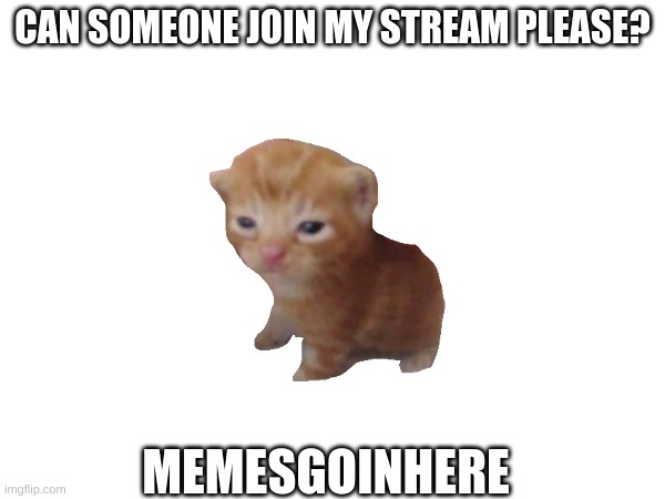Its lonely in there | CAN SOMEONE JOIN MY STREAM PLEASE? MEMESGOINHERE | image tagged in lonely | made w/ Imgflip meme maker
