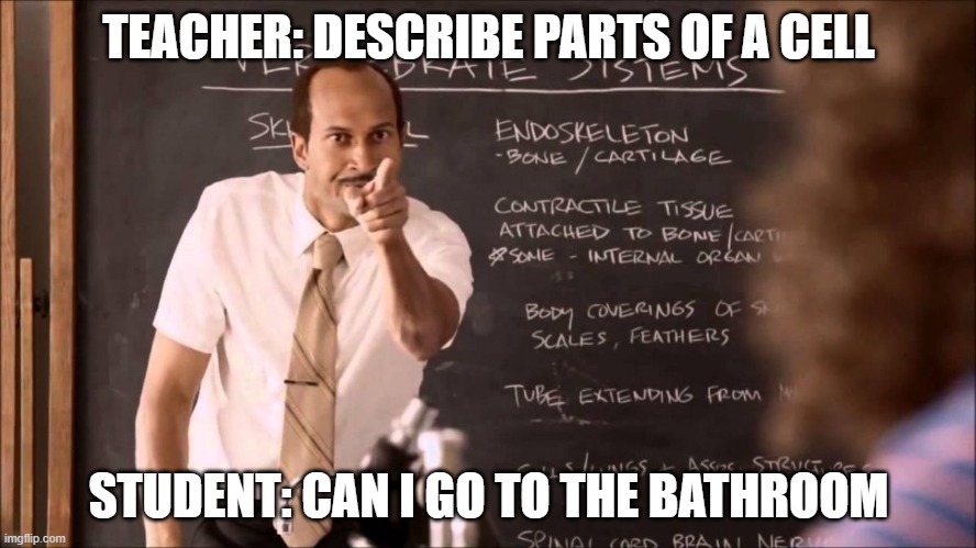 Frustrated teacher | TEACHER: DESCRIBE PARTS OF A CELL; STUDENT: CAN I GO TO THE BATHROOM | image tagged in key and peele substitute teacher | made w/ Imgflip meme maker