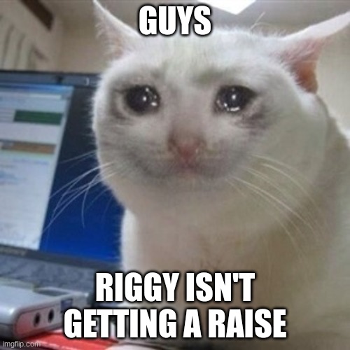 Crying cat | GUYS; RIGGY ISN'T GETTING A RAISE | image tagged in crying cat | made w/ Imgflip meme maker