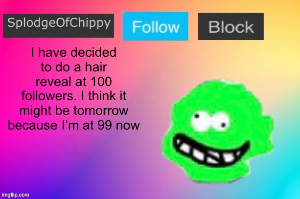 No “x upvotes for face reveal” like Gnib did though | I have decided to do a hair reveal at 100 followers. I think it might be tomorrow because I’m at 99 now | image tagged in splodgeofchippy announcement template | made w/ Imgflip meme maker