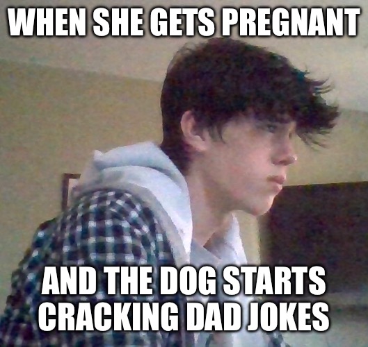 EJ OFFICIAL FACE | WHEN SHE GETS PREGNANT; AND THE DOG STARTS CRACKING DAD JOKES | image tagged in ej official face | made w/ Imgflip meme maker