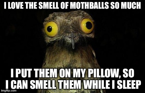 weird stuff i do pootoo | I LOVE THE SMELL OF MOTHBALLS SO MUCH I PUT THEM ON MY PILLOW, SO I CAN SMELL THEM WHILE I SLEEP | image tagged in weird stuff i do pootoo,AdviceAnimals | made w/ Imgflip meme maker