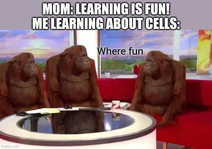 I just want to learn about animals ?? | MOM: LEARNING IS FUN!
ME LEARNING ABOUT CELLS:; Where fun | image tagged in where monkey | made w/ Imgflip meme maker