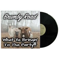 Brumby Road | Brumby Road; What Ya Bringin’ To Tha Party!!! | image tagged in album cover | made w/ Imgflip meme maker
