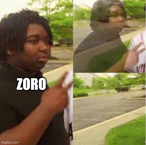 disappearing  | ZORO | image tagged in disappearing | made w/ Imgflip meme maker