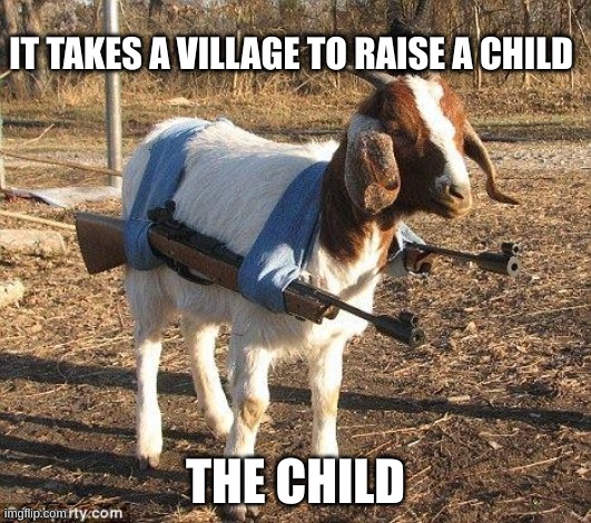it takes a village to raise a child | IT TAKES A VILLAGE TO RAISE A CHILD; THE CHILD | image tagged in goat tank | made w/ Imgflip meme maker