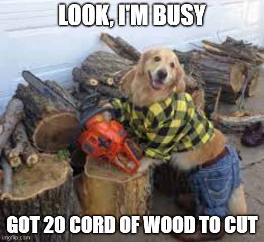 Lumber Dog | LOOK, I'M BUSY; GOT 20 CORD OF WOOD TO CUT | image tagged in funny dog | made w/ Imgflip meme maker