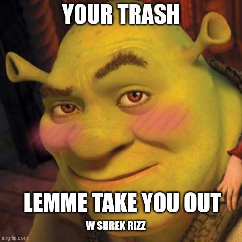 Shrek Sexy Face | YOUR TRASH; LEMME TAKE YOU OUT; W SHREK RIZZ | image tagged in shrek sexy face | made w/ Imgflip meme maker