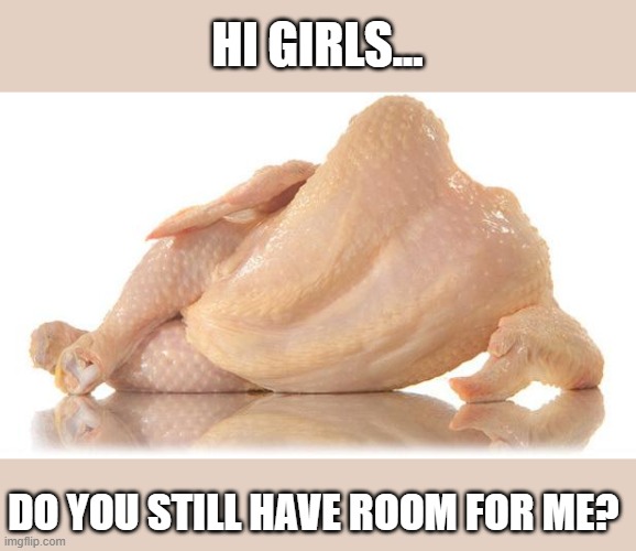 sexy chicken | HI GIRLS... DO YOU STILL HAVE ROOM FOR ME? | image tagged in sexy chicken | made w/ Imgflip meme maker