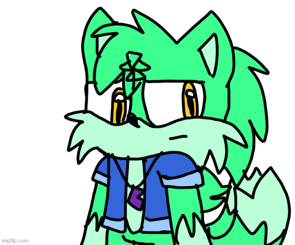 drew my brother's sonic ocs, ask questions about him. | made w/ Imgflip meme maker