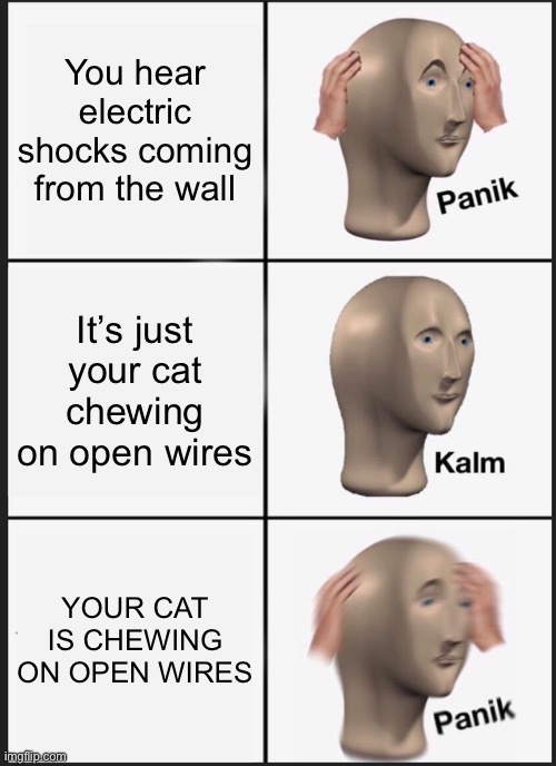 Hahaha no wonder the couch is on fire | You hear electric shocks coming from the wall; It’s just your cat chewing on open wires; YOUR CAT IS CHEWING ON OPEN WIRES | image tagged in memes,panik kalm panik,funny,funny memes,panik calm panik,oh wow are you actually reading these tags | made w/ Imgflip meme maker