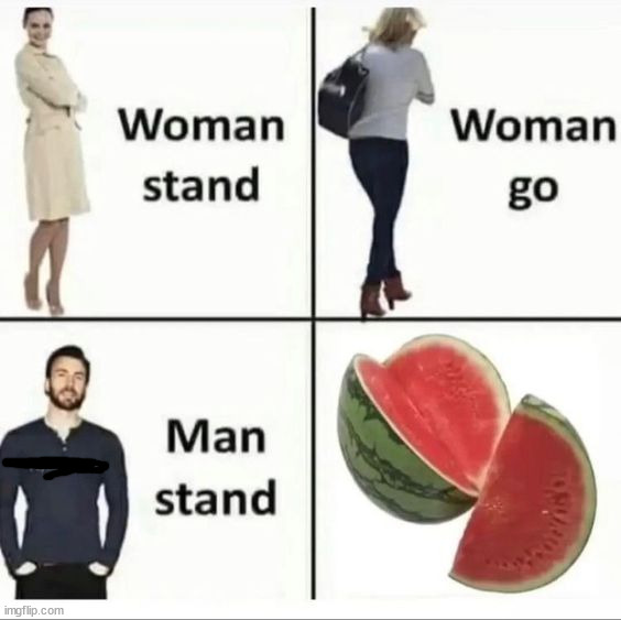 image tagged in memes | made w/ Imgflip meme maker