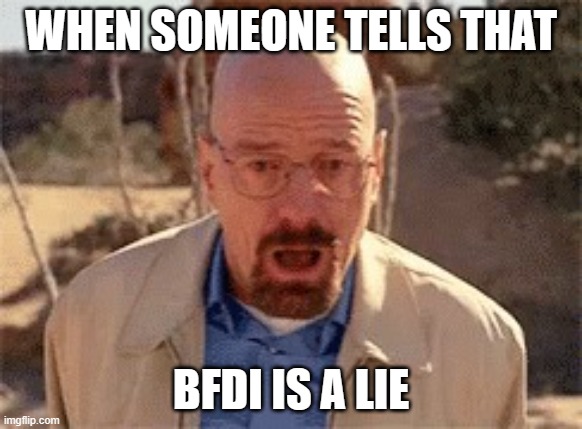 Walter White | WHEN SOMEONE TELLS THAT; BFDI IS A LIE | image tagged in walter white | made w/ Imgflip meme maker