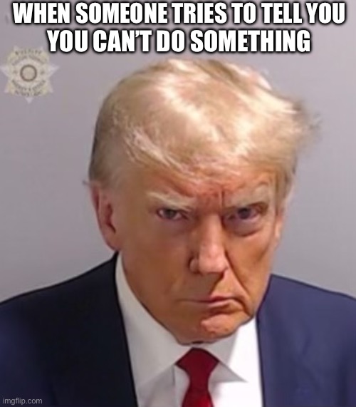 Don’t tell me I can’t | WHEN SOMEONE TRIES TO TELL YOU; YOU CAN’T DO SOMETHING | image tagged in donald trump mugshot | made w/ Imgflip meme maker