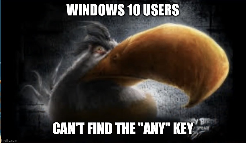 Realistic Mighty Eagle | WINDOWS 10 USERS; CAN'T FIND THE "ANY" KEY | image tagged in realistic mighty eagle | made w/ Imgflip meme maker