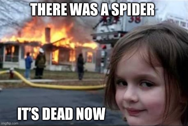 Spider ! | THERE WAS A SPIDER; IT’S DEAD NOW | image tagged in burning house girl,spider | made w/ Imgflip meme maker