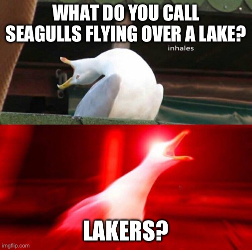 Seagulls | WHAT DO YOU CALL SEAGULLS FLYING OVER A LAKE? LAKERS? | image tagged in inhaling seagull,lakers | made w/ Imgflip meme maker