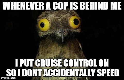Weird Stuff I Do Potoo Meme | WHENEVER A COP IS BEHIND ME I PUT CRUISE CONTROL ON SO I DONT ACCIDENTALLY SPEED | image tagged in memes,weird stuff i do potoo,AdviceAnimals | made w/ Imgflip meme maker