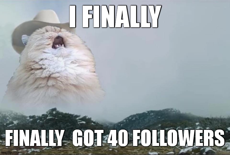 AFTER 4 MONTHS STUCKT AT 38 !!! Dude | I FINALLY; FINALLY  GOT 40 FOLLOWERS | image tagged in screaming cowboy cat,followers,when you're happy you enjoy the music | made w/ Imgflip meme maker