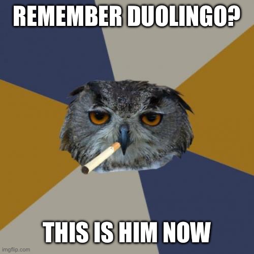 Art Student Owl Meme | REMEMBER DUOLINGO? THIS IS HIM NOW | image tagged in memes,art student owl | made w/ Imgflip meme maker
