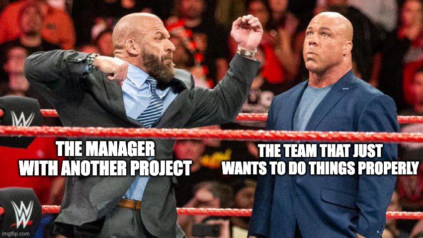 Triple H punching | THE TEAM THAT JUST WANTS TO DO THINGS PROPERLY; THE MANAGER WITH ANOTHER PROJECT | image tagged in triple h,pro wrestling,punch | made w/ Imgflip meme maker