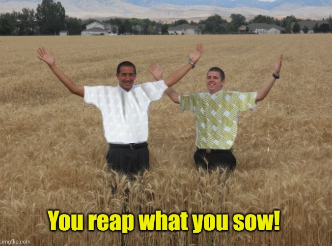 harvest time | You reap what you sow! | image tagged in harvest time | made w/ Imgflip meme maker