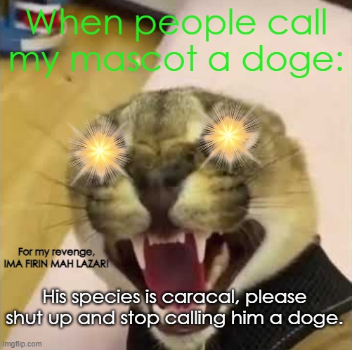 Please call Shelty a caracal. | When people call my mascot a doge:; For my revenge, IMA FIRIN MAH LAZAR! His species is caracal, please shut up and stop calling him a doge. | image tagged in angry floppa,psa | made w/ Imgflip meme maker