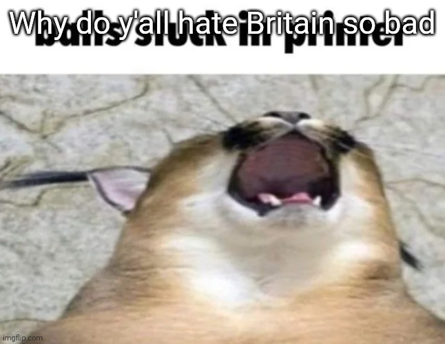Balls stuck In printer | Why do y'all hate Britain so bad | image tagged in balls stuck in printer | made w/ Imgflip meme maker